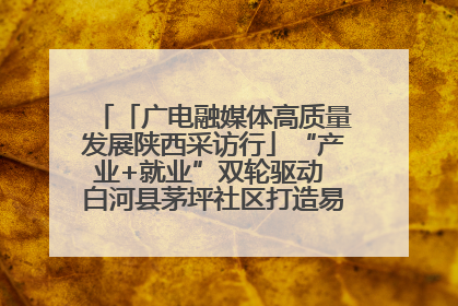 「广电融媒体高质量发展陕西采访行」“产业+就业”双轮驱动 白河县茅坪社区打造易地搬迁后扶新样本