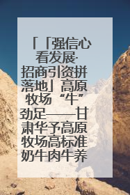 「强信心 看发展·招商引资拼落地」高原牧场“牛”劲足——甘肃华予高原牧场高标准奶牛肉牛养殖项目一线见闻