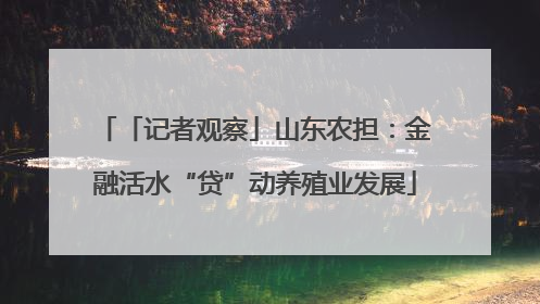 「记者观察」山东农担：金融活水“贷”动养殖业发展