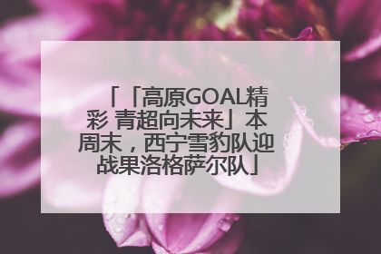 「高原GOAL精彩 青超向未来」本周末，西宁雪豹队迎战果洛格萨尔队