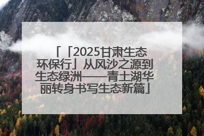 「2025甘肃生态环保行」从风沙之源到生态绿洲——青土湖华丽转身书写生态新篇