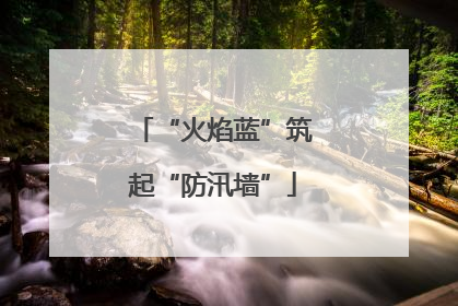 “火焰蓝”筑起“防汛墙”