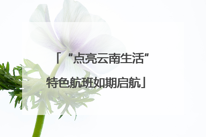 “点亮云南生活”特色航班如期启航