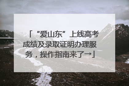 “爱山东”上线高考成绩及录取证明办理服务，操作指南来了→