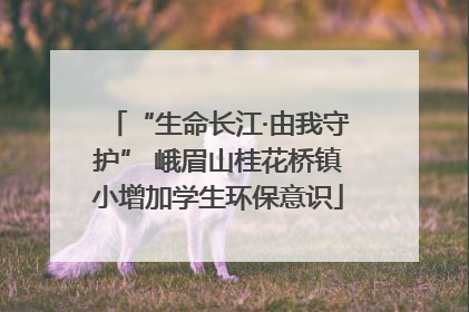 “生命长江·由我守护” 峨眉山桂花桥镇小增加学生环保意识