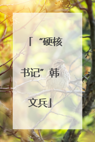 “硬核书记”韩文兵