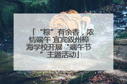 “粽”有余香，浓情端午 宜宾叙州樟海学校开展“端午节”主题活动