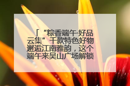 “粽香端午·好品云集”千款特色好物邂逅江南雅韵，这个端午来吴山广场解锁“浙里烟火气”
