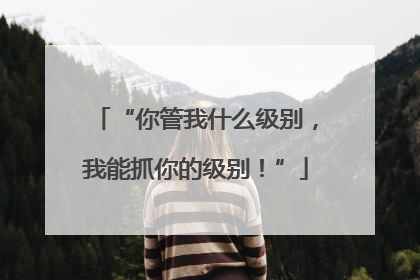 “你管我什么级别，我能抓你的级别！”