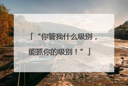 “你管我什么级别，能抓你的级别！”