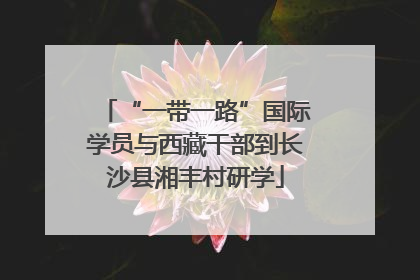 “一带一路”国际学员与西藏干部到长沙县湘丰村研学