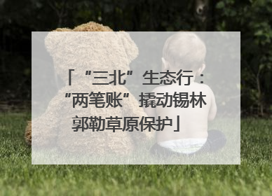 “三北”生态行：“两笔账”撬动锡林郭勒草原保护