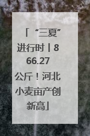 “三夏”进行时丨866.27公斤！河北小麦亩产创新高