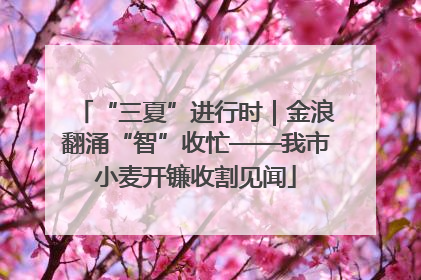 “三夏”进行时｜金浪翻涌“智”收忙——我市小麦开镰收割见闻