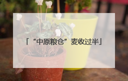 “中原粮仓”麦收过半