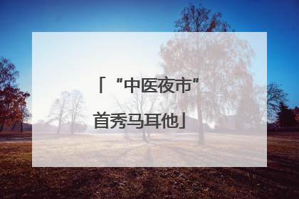 “中医夜市”首秀马耳他