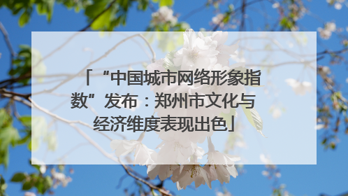 “中国城市网络形象指数”发布:郑州市文化与经济维度表现出色