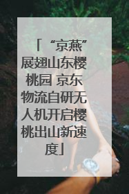 “京燕”展翅山东樱桃园 京东物流自研无人机开启樱桃出山新速度