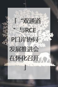 “双通道”与RCEP口岸协同发展推进会在怀化召开