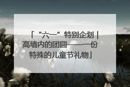 “六一”特别企划｜高墙内的团圆——一份特殊的儿童节礼物