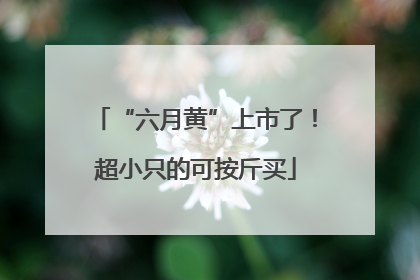 “六月黄”上市了！超小只的可按斤买