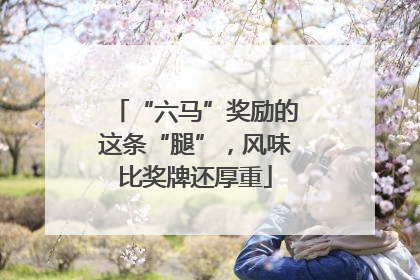 “六马”奖励的这条“腿”，风味比奖牌还厚重
