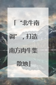“北牛南调”，打造南方肉牛集散地