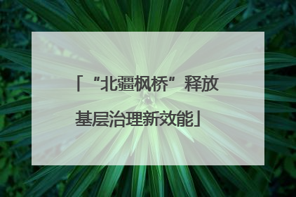 “北疆枫桥”释放基层治理新效能