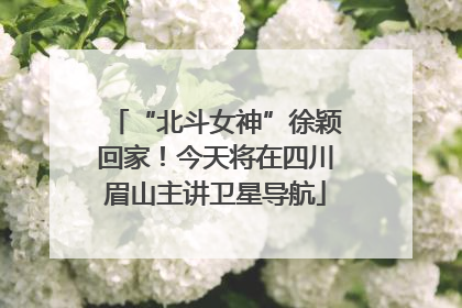 “北斗女神”徐颖回家！今天将在四川眉山主讲卫星导航