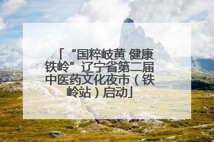 “国粹岐黄 健康铁岭”辽宁省第二届中医药文化夜市（铁岭站）启动