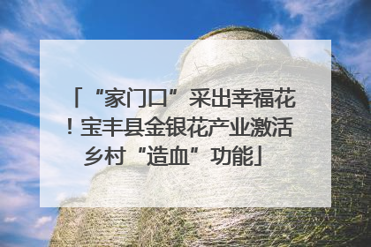 “家门口”采出幸福花！宝丰县金银花产业激活乡村“造血”功能
