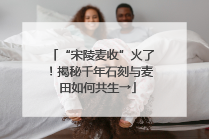 “宋陵麦收”火了！揭秘千年石刻与麦田如何共生→