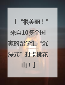 “很美丽！”来自10多个国家的留学生“沉浸式”打卡桃花山！