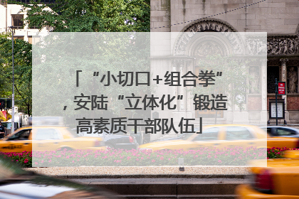 “小切口+组合拳”，安陆“立体化”锻造高素质干部队伍