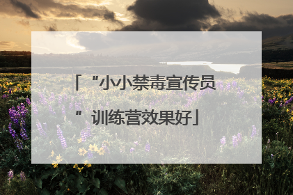 “小小禁毒宣传员”训练营效果好