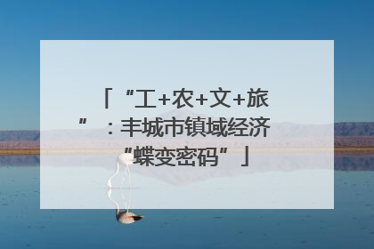 “工+农+文+旅”：丰城市镇域经济“蝶变密码”