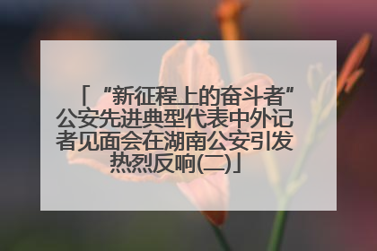 “新征程上的奋斗者”公安先进典型代表中外记者见面会在湖南公安引发热烈反响(二)
