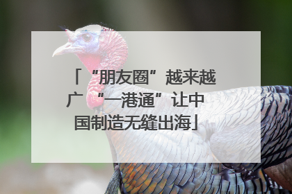 “朋友圈”越来越广 “一港通”让中国制造无缝出海