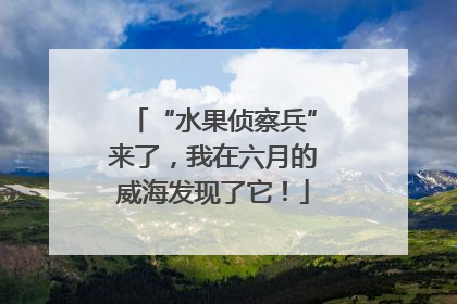“水果侦察兵”来了，我在六月的威海发现了它！