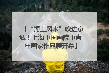 “海上风来”吹进京城！上海中国画院中青年画家作品展开幕