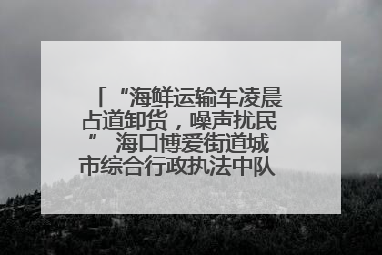 “海鲜运输车凌晨占道卸货，噪声扰民” 海口博爱街道城市综合行政执法中队：将联合交警加强长堤路一带巡逻