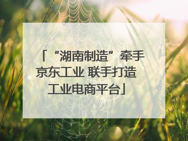 “湖南制造”牵手京东工业 联手打造工业电商平台