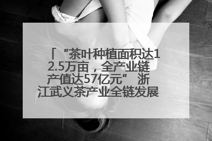 “茶叶种植面积达12.5万亩，全产业链产值达57亿元” 浙江武义茶产业全链发展“加速度”