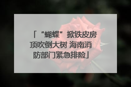 “蝴蝶”掀铁皮房顶吹倒大树 海南消防部门紧急排险