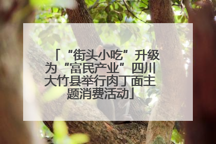 “街头小吃”升级为“富民产业”四川大竹县举行肉丁面主题消费活动