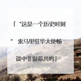 “这是一个历史时刻” 索马里驻华大使畅谈中非银幕共鸣