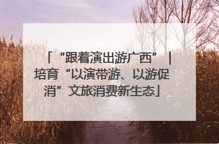 “跟着演出游广西”｜培育“以演带游、以游促消”文旅消费新生态