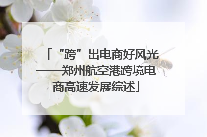 “跨”出电商好风光——郑州航空港跨境电商高速发展综述