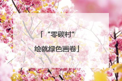 “零碳村” 绘就绿色画卷