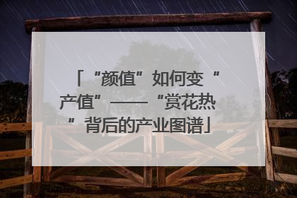“颜值”如何变“产值”——“赏花热”背后的产业图谱